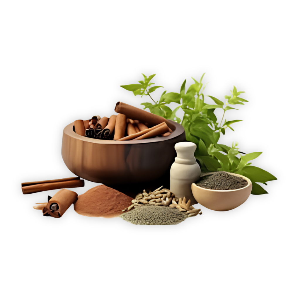 ayurmaya png (3)
